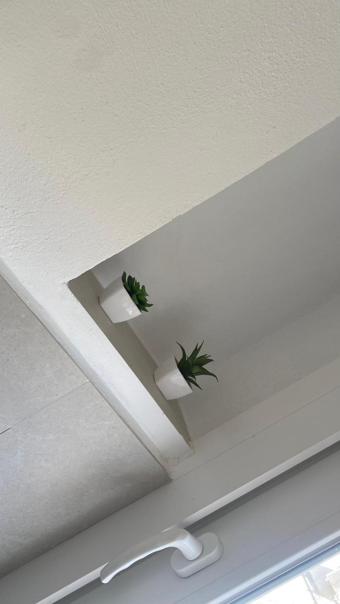 Plaza Andalucia Apartment -A 10Min Caminando Del Puente Romano Córdoba Eksteriør bilde
