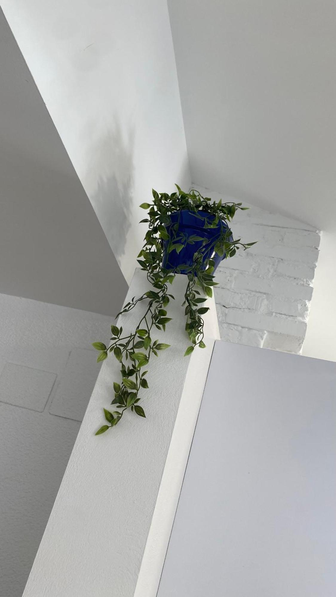 Plaza Andalucia Apartment -A 10Min Caminando Del Puente Romano Córdoba Eksteriør bilde